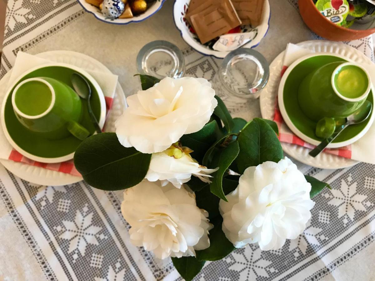 Il Giardino Sul Mare B&B 리바 리구레 외부 사진