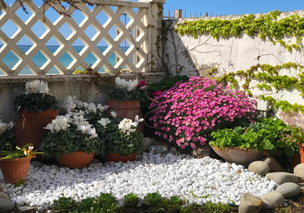 Il Giardino Sul Mare B&B 리바 리구레 외부 사진